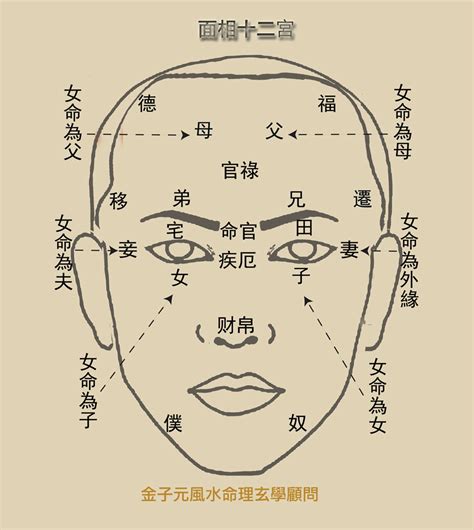 壽眉面相